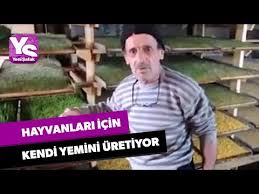 Rizeli Ogretmen Hayvanlari Icin Kendi Yemini Uretiyor Youtube