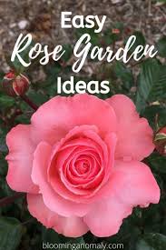 Easy Rose Garden Ideas Rose Garden Design Rose Garden Landscape Simple Rose
