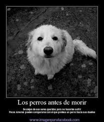 magdalena bernal sierr<a (bernalsierra)