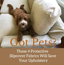 Got Pets These 4 Protective Slipcover Fabrics Will Save Your Upholstery Slipcovers Cat Proof Furniture Pet Friendly Furniture