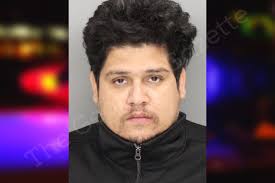 Diego Viera — Cobb County Jail Bookings