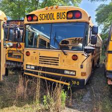 Image result for Federal Standard Yellow 1969 Bluebird
