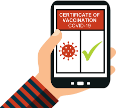 Der sommer ist da, der digitale impfpass auch: Digitale Zertifikate Impfnachweis Auf Dem Handy