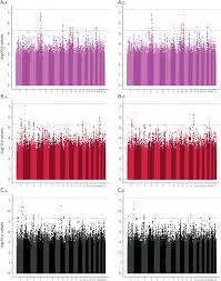 Genome-Wide Association Studies of 3 Distinct Recovery Phenotypes in Mild  Ischemic Stroke | Neurology