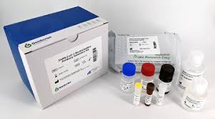 Gareth icke talks to gal shalev in israel & dr and. Singapore Develops First Of Its Kind Rapid Covid 19 Test To Detect Neutralising Antibodies With High Specificity And Sensitivity Within An Hour