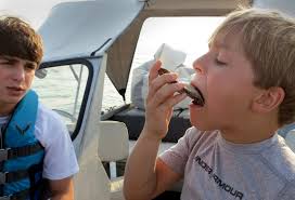 The Aristocratic Louisiana Oyster : Gulf Seafood News