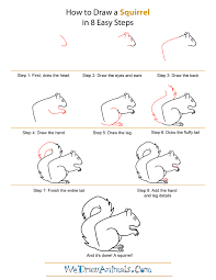 I take it one step at a time, so it's a lot easier than it may look! How To Draw A Squirrel Quick Step By Step Tutorial Squirrel Drawings Cartoon Clip Art