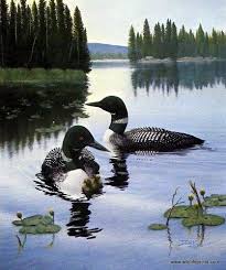 Wildlife Artist Derk Hansen Unframed Loon Art Print New Light New Life Goruntuler Ile Hayvan Resimleri Rengarenk Kuslar Hayvanlar