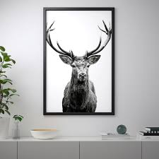 Bjorksta Picture And Frame Horns Black 30 X46 Ikea Ikea Wall Art Black Wall Art Ikea