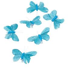 Papillon Bleu Turquoise X6 Papillon Bleu Turquoise Et Bleu Turquoise