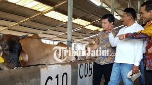 Berapa besar biaya layanan transfer ke bank bca dan bank lain? Dukung Sektor Produktif Bca Salurkan Kur Rp 20 Miliar Ke Perusahaan Di Probolinggo Tribun Jatim