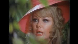 Amber Travis's Instagram, Twitter & Facebook