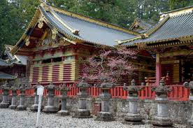 Résultat de recherche d'images pour "nikko"