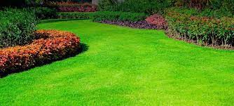 We did not find results for: Lawn Fertilization Services Company Tomball Lawn Care Services Spring