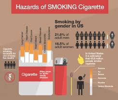 Pin On Info Graphic Poster