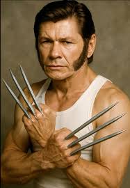 Wolverine and Favorite Marvel Character Team Ups