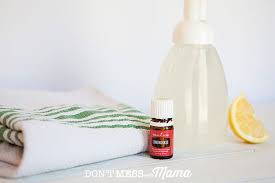 My favorite household cleaner is vinegar with wintergreen or lemon oil. Diy Foaming Hand Soap Don T Mess With Mama