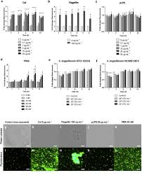 La articolul 97, alineatul (3) se modifică şi va avea următorul cuprins: Chromatin Extracellular Trap Release In Rainbow Trout Oncorhynchus Mykiss Walbaum 1792 Sciencedirect