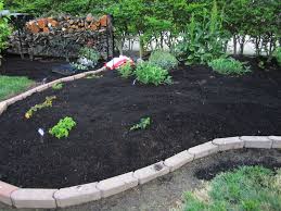 This amazing mulch scores the first position for those who are inclined to use black mulch. Cost Of Bag Of Black Mulch The Art Of Mike Mignola