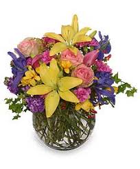 We did not find results for: Mother Nature S Expression Bouquet In Toledo Oh Meadows Florist