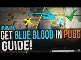 Any Blood Color Playerunknown S Battlegrounds General Discussions