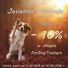 Jesienna Promocja W Fordogtrainers Serdecznie Zapraszamy Https Www Fordogtrainers Pl Dog Portrait Photography Dog Photoshoot Fall Dog