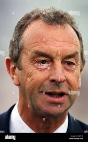 Cricket david lloyd hi-res stock photography and images