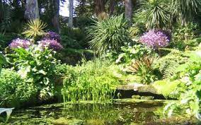 le jardin georges delaselle de l ile de batz situe sur la partie est de l ile de batz au lieu dit pen baz le jardins les plus beaux jardins jardin botanique