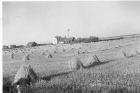 My grandparents farm