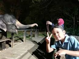 Zoo melaka & night safari ingin berkongsi kegembiraan dgn anda semua. Melaka Zoo Night Safari Admission Tickets Price Promotion 2020 Traveloka