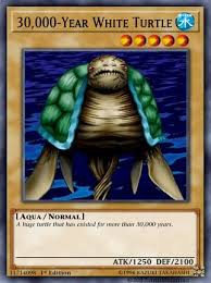 These arn't always as powerful but they halarious to. 30 000 Year White Turtle Custom Yugioh Cards Yugioh Seasons Yugioh