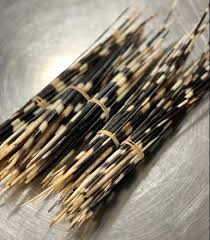 July 16, 2021 | updated today at 6:59 p.m. Cbp Seizes Porcupine Quills As Cdc Warns Of Monkeypox Virus Homeland Security Today