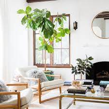Set a low, round coffee table in the center of the room with three armchairs around it. Clever Small Living Room Ideas