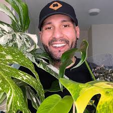 Finding rare house plants at Walmart, including philodendron verrucosum