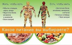 правильное питание для похудения меню на каждый день для девушек Polnyj Pravilnoe Pitanie Dlya Zhenshin Kak Perejti Menyu Dlya Pohudeniya Na Nedelyu S Receptami Iz Dostupnyh Produktov Zdorovoe Pitanie Gerbalajf Poleznoe Pitanie