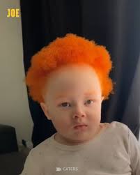 Mark Lemuel Lopez Mecenas