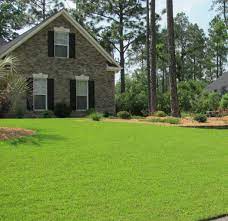Remove any excess thatch and loosen the top of the soil with a rake. Centipedegrass Yearly Maintenance Program Home Garden Information Center