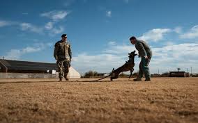 Congrats to Staff Sgt. Kyle Quigg, 56th Security Forces ...