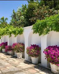 Pin On Volubilis Marbella Jardin Y Decoracion Exterior