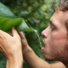 tom and jerry at the badminton court