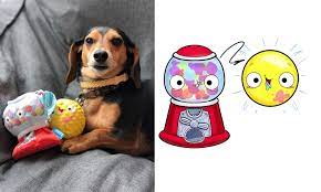 Dancing cactus toy helps you to get rid of loneliness and to get rid of sadness by being your best friend. 12 Times There Were Surprises In Barkbox Toys You Had No Idea