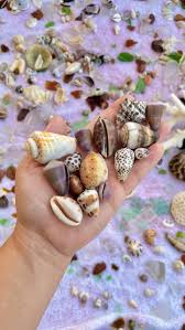 Image result for Kathys Shell Decatur TX