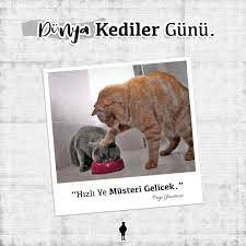 yas mamami getir bugun benim gunum dunya kediler gunu kutlu olsun kedi resimler yastiklar