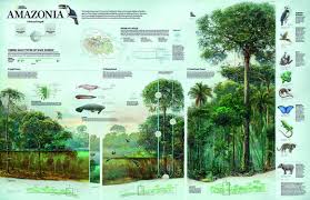 See Captivating Infographics From The Last Century Infographic National Geographic Visual