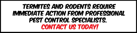 The final price may vary depending on the size of the property and the type of pests present. Quarterly Pest Control Naples Pestmax Pest Control Blog