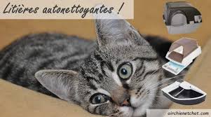Les 3 Meilleures Litiere Autonettoyante 2020 Comparatif Achat Et Avis