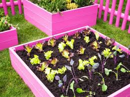 Different vegetables and fruits need different types of nutrients. Creative Raised Bed Garden Ideas Yard Decor For Every Season