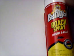 Bengal Roach Spray 16 Oz Walmart Com Walmart Com