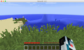 It seems that a service is listening on the stated port. Minecraft Server On Google Cloud Java Code Geeks 2021