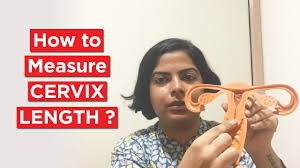 How To Measure Your Cervix Length And Why